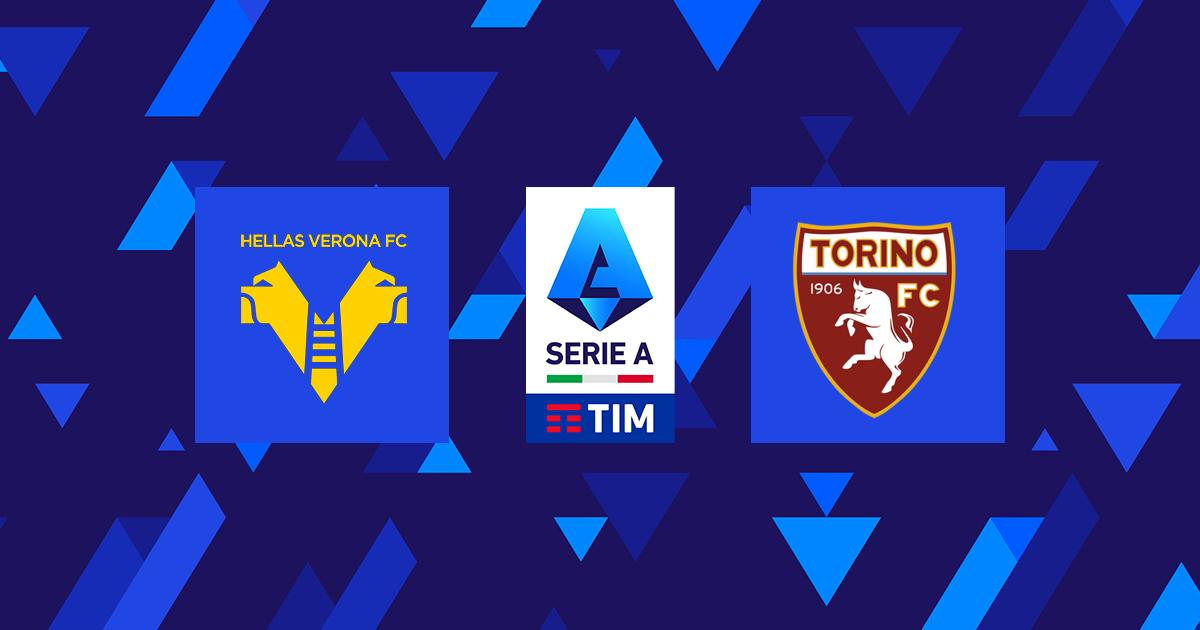 Highlight Hellas Verona - Torino del 14 Maggio 2023 - Lega Serie A