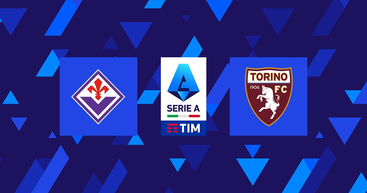 Highlight Fiorentina - Torino del 29 dicembre 2023 - Lega Serie A